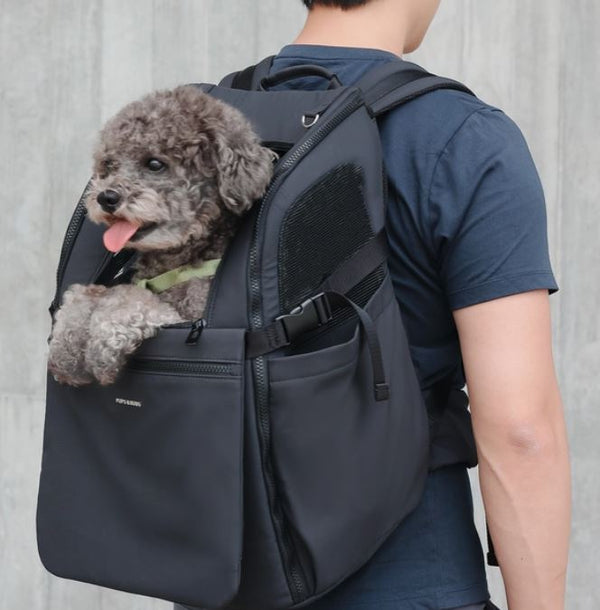 Hunderucksack Backpack, Schwarz