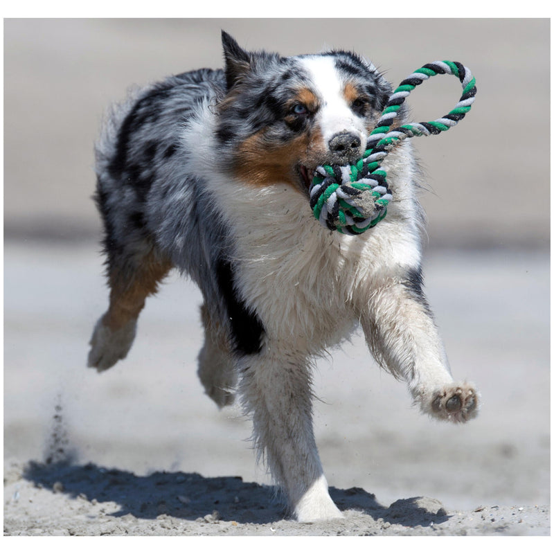 Hundespielzeug Schleuderball, Grün