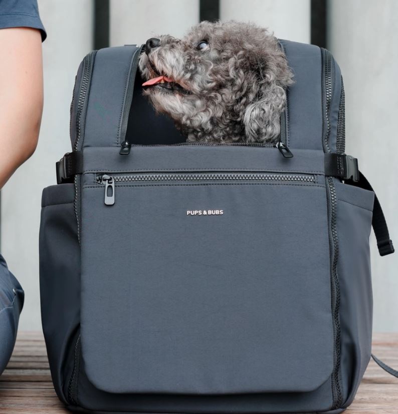 Hunderucksack Backpack, Schwarz
