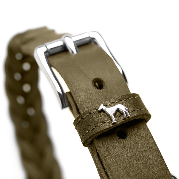 Halsband Solid Education Special, olivgrün