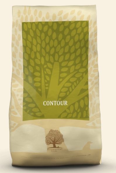 Essential Contour