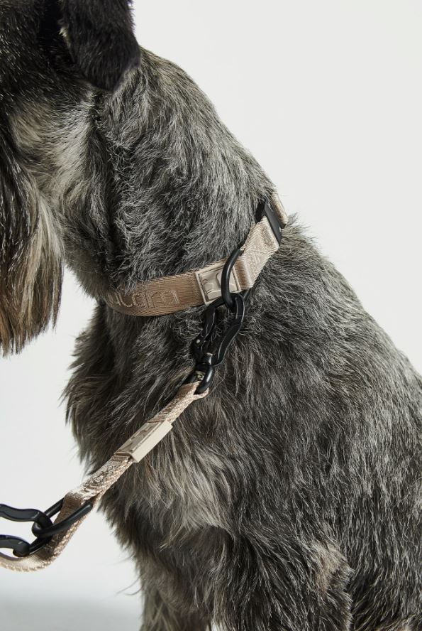 Modena Hundehalsband, Greige
