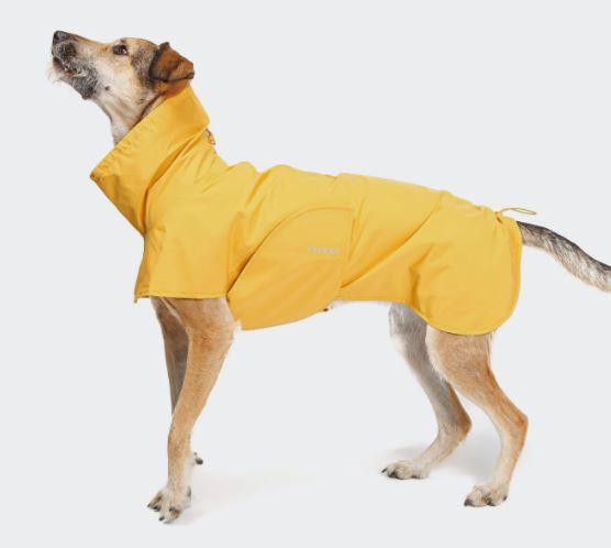Hunderegenmantel Helgoland, Yellow