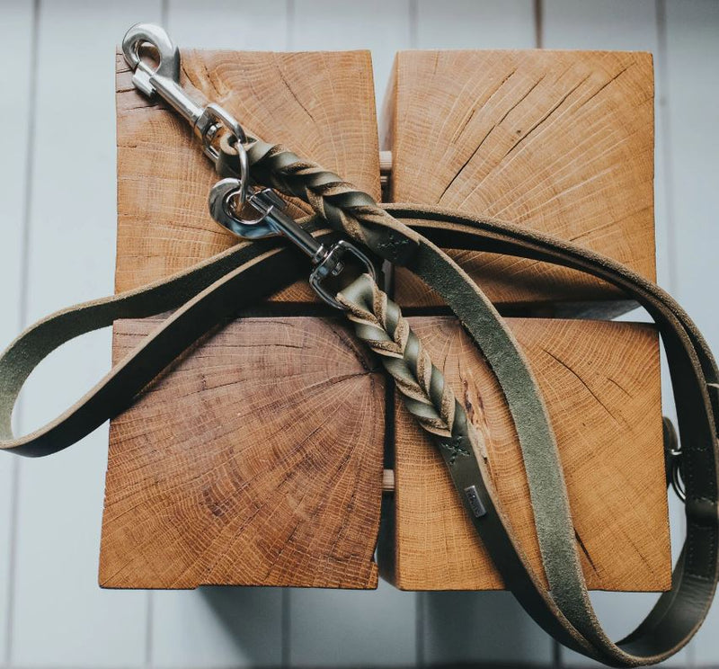 Verst. Führleine Solid Education, Oliv, 13/200