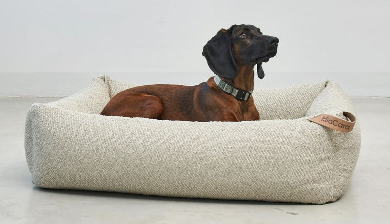 Hundebett Supremo, Greige