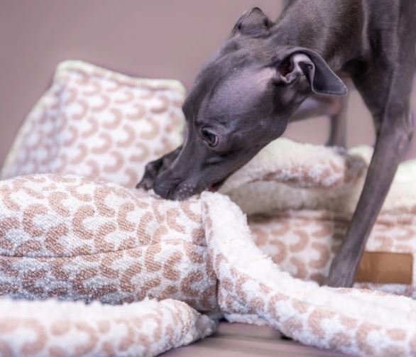 Octopus Toy Medium, Pink