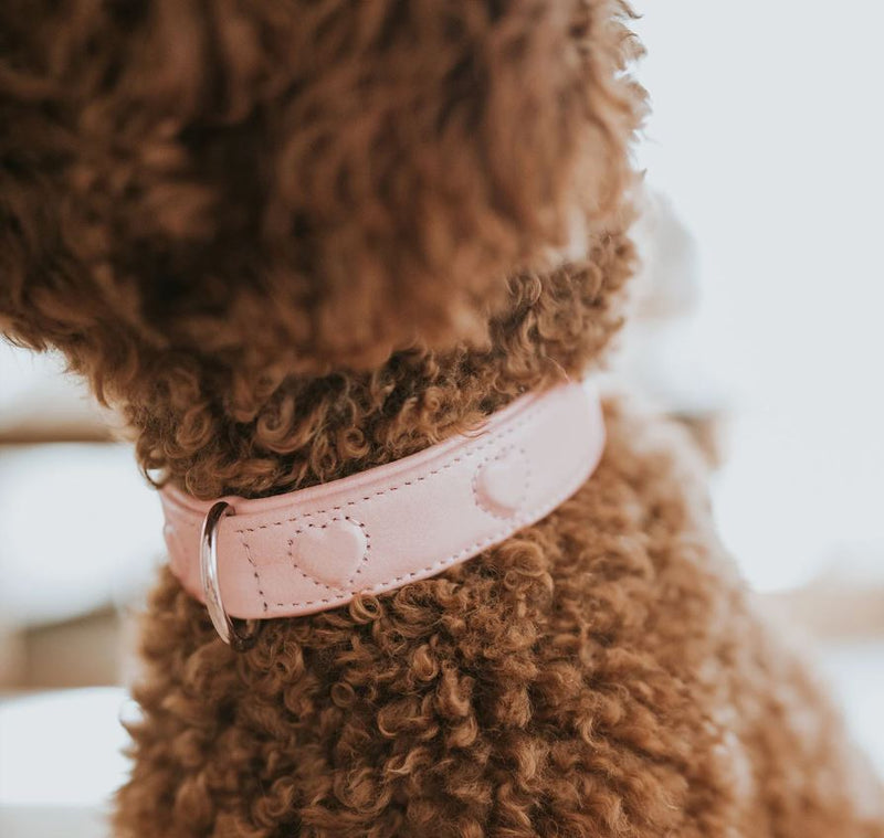 Halsband Soho Love, Hellrosa