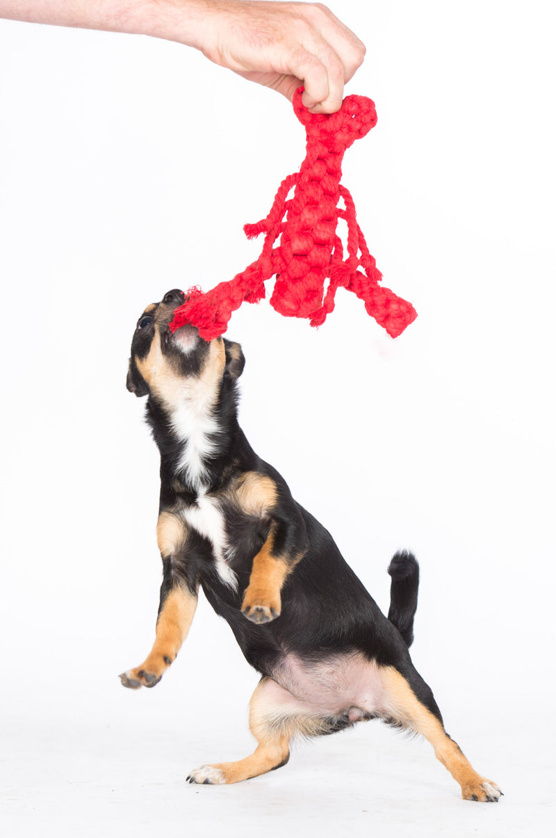 Hundespielzeug Hugo Hummer Jr.
