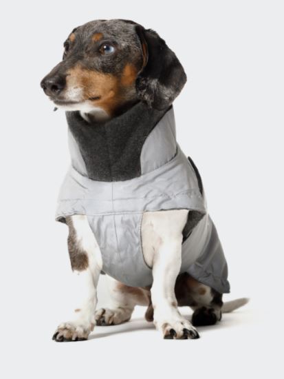 Hundemantel Brooklyn Dacke, Reflective