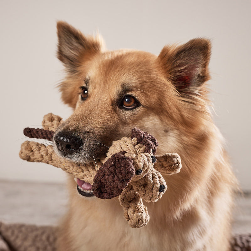 Hundespielzeug Doggy Dog oder Doggy Dog Jr.