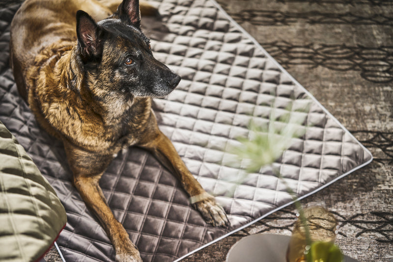 Hundesteppdecke Oxford - Samt, Stone