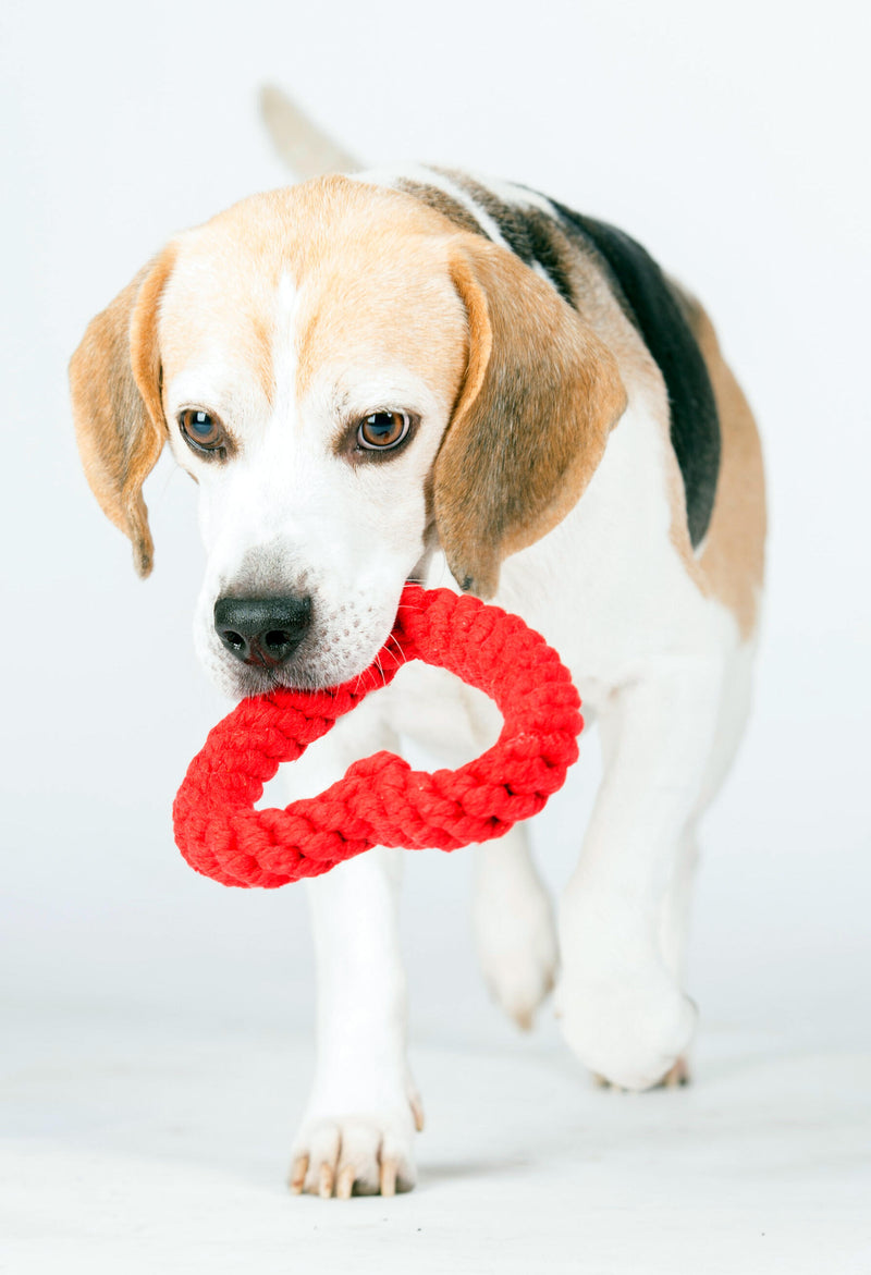 Hundespielzeug Hertha Heart