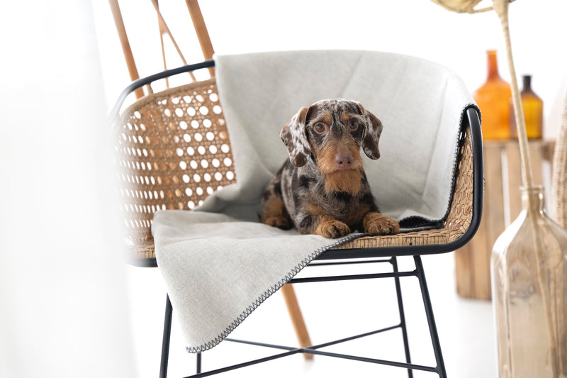 Hundedecke REVERSO, Grey