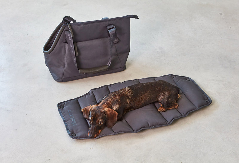 Sporta Hundetragtasche, Grolive