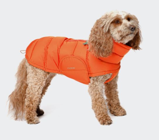 Hundemantel Alaska, Burnt Orange