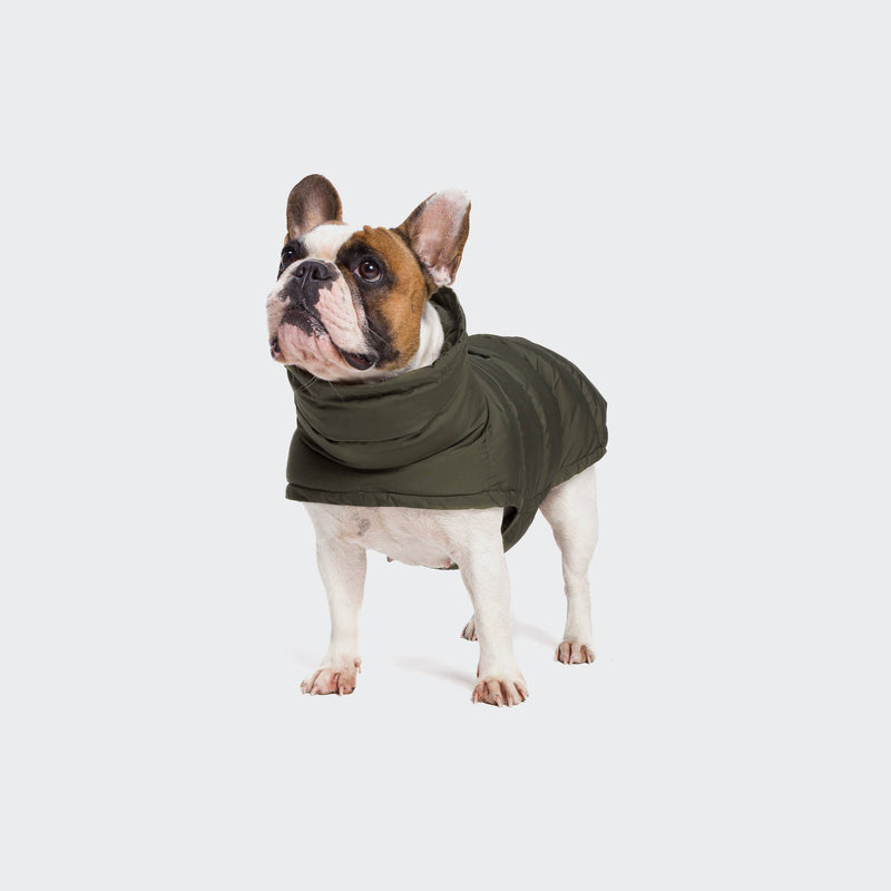 Hundemantel Alaska für Französische Bulldoggen, Olive