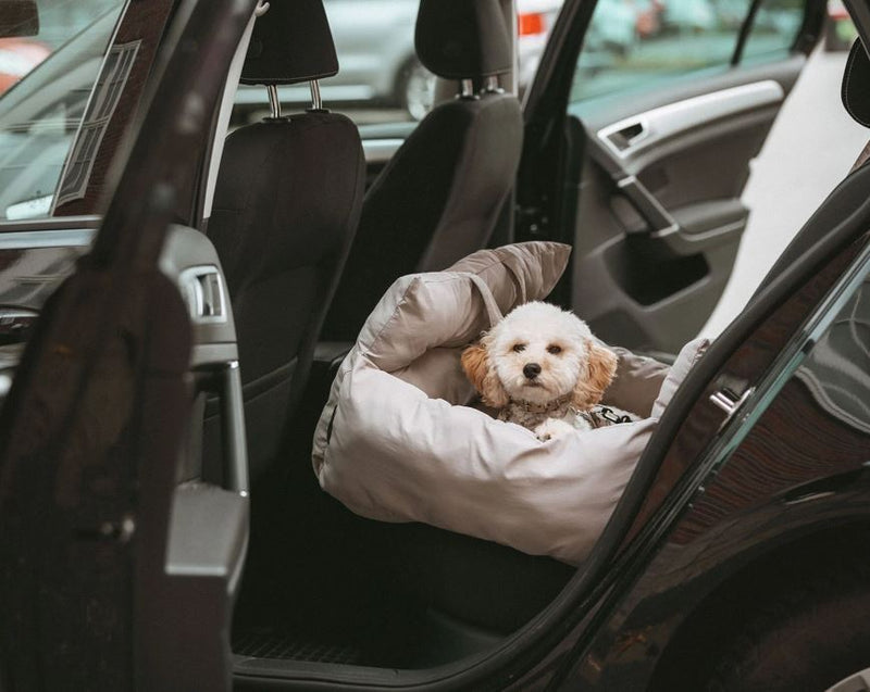 2- in1 Autositz/Reisebett Seoul grau