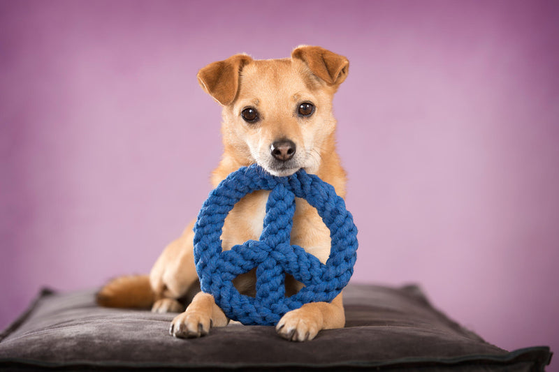 Hundespielzeug Paulchen Peace