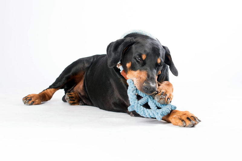 Hundespielzeug Skipper