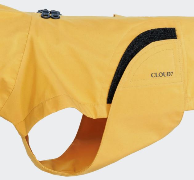 Hunderegenmantel Dublin 2.0 für Dackel, Yellow