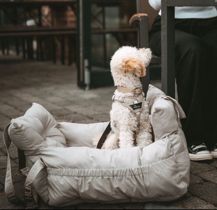 2- in1 Autositz/Reisebett Seoul grau