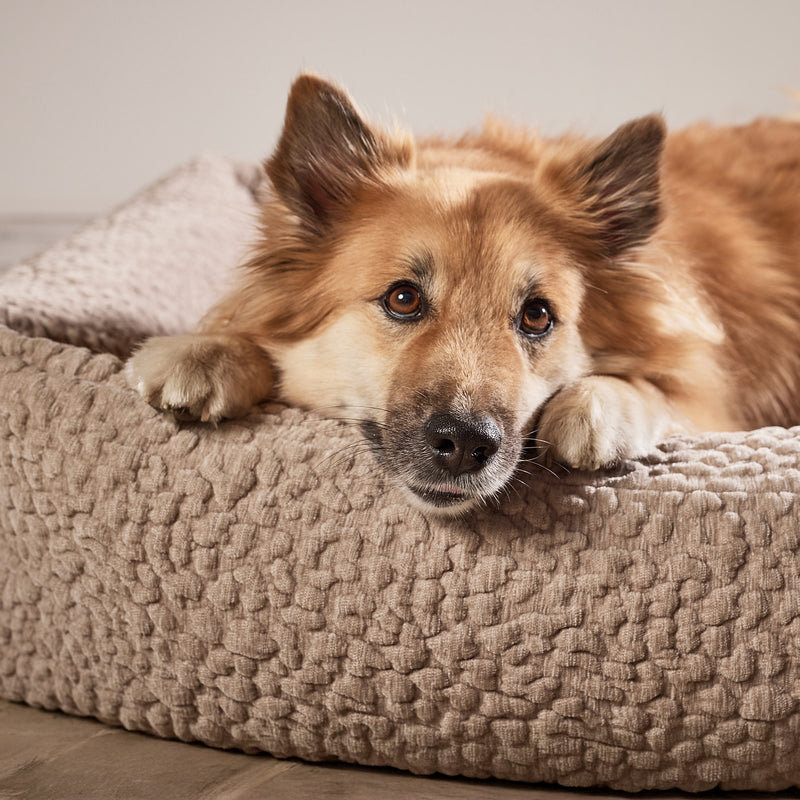 Hundebett BELLAGIO, Sabbia