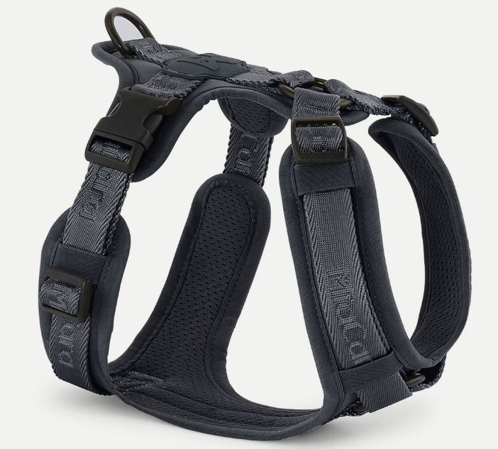 Modena Hundegeschirr, Asphalt