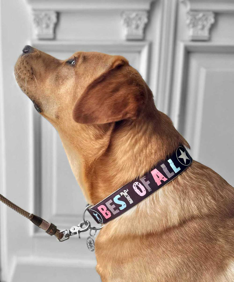 Halsband BEST OF ALL, Praline