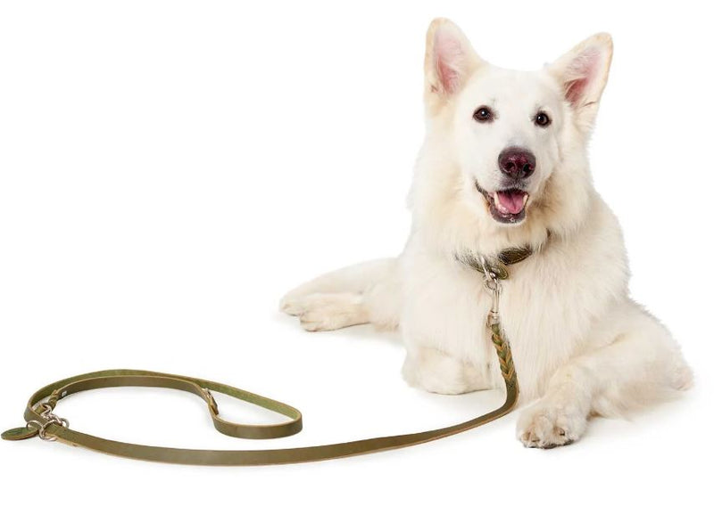 Verst. Führleine Solid Education, Oliv, 13/200