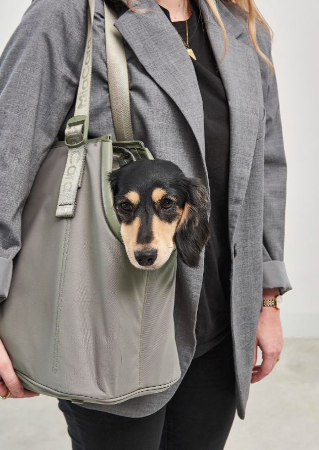 Sporta Hundetragtasche, Grolive