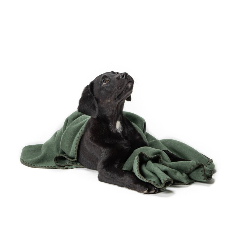 Hundedecke Soft Fleece, Dusty Green