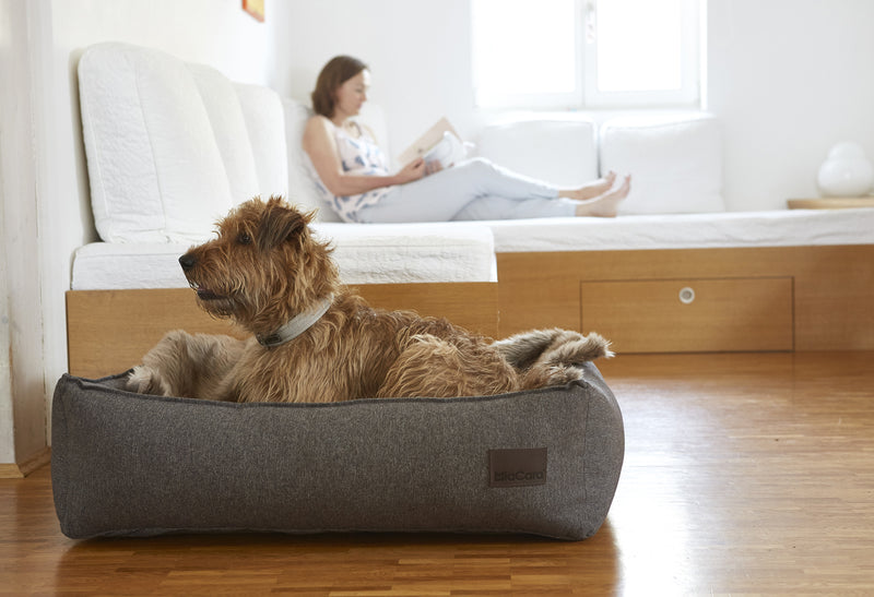 Nube Box-Bett, Salz & Pfeffer