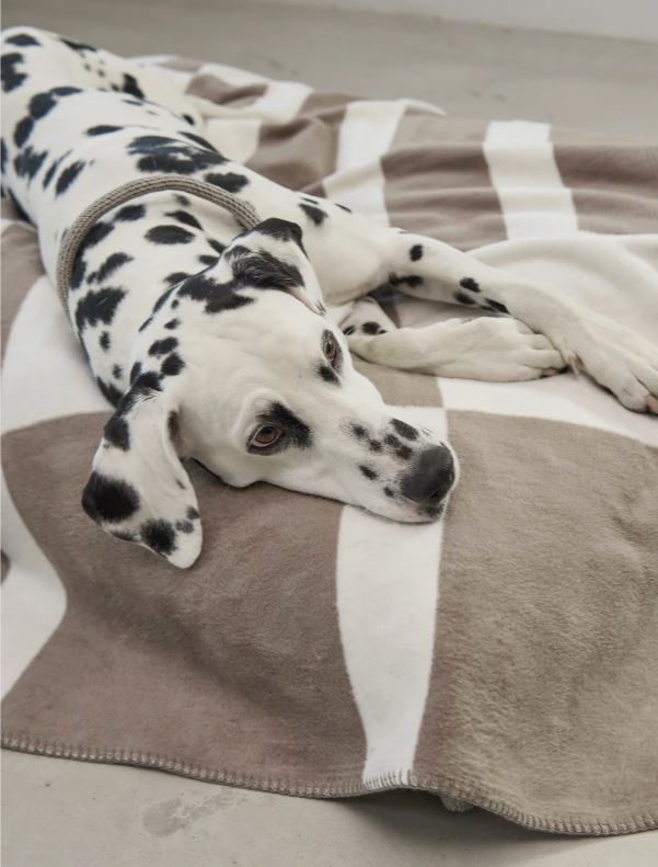 Hundedecke Biocco, Taupe/Nature