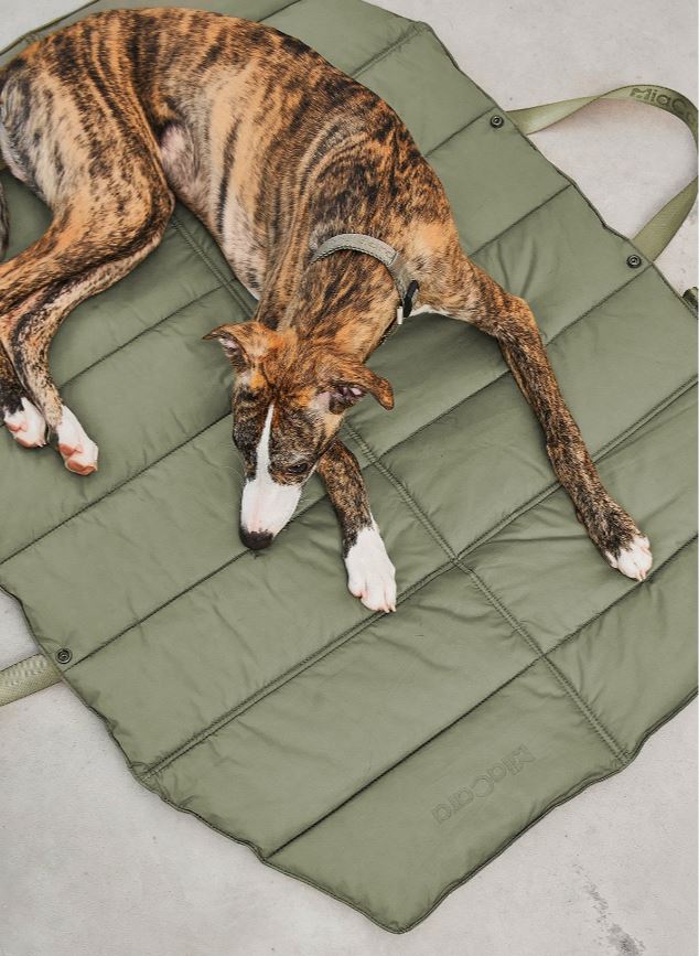 Strada TravelBed, Grolive