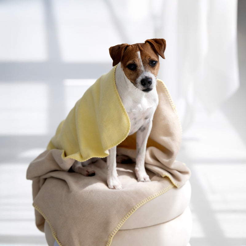 Hundedecke REVERSO, Sand-Yellow