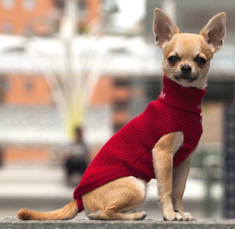 Strickpullover MILANO, Tortora