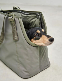 Sporta Hundetragtasche, Grolive