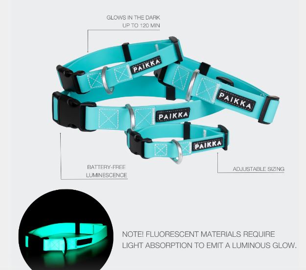 Glow Halsband, Aqua