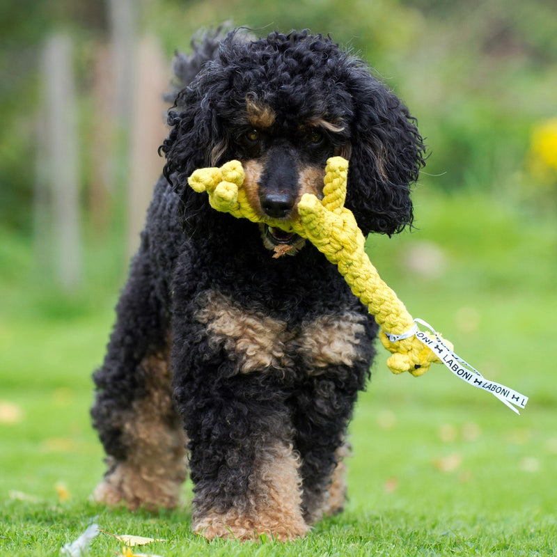 Hundespielzeug Gretchen Giraffe
