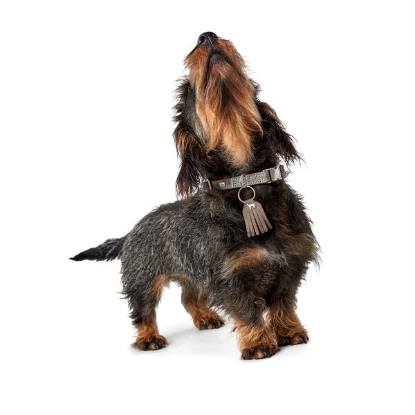 Halsband Lucca Alu-Strong walnuss