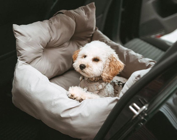 2- in1 Autositz/Reisebett Seoul grau