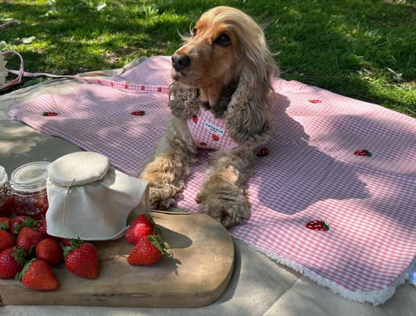 Decke mit Erdbeeren