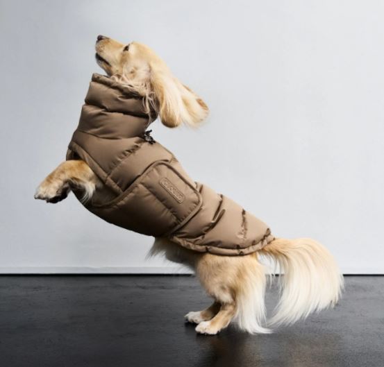 Hundemantel Alaska für Dackel, Sandy Brown