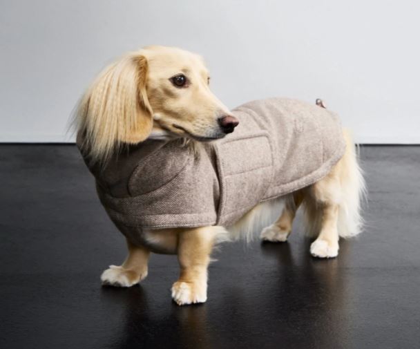 Hundemantel Brooklyn Dackel, Tweed Beige