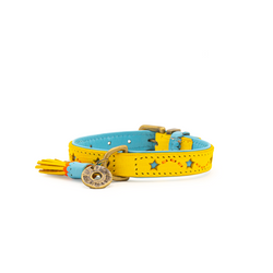 Halsband Urban Blue Star