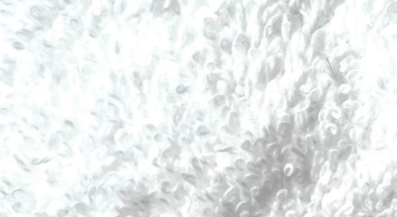 Handtuch Bobby 50cm x 100cm