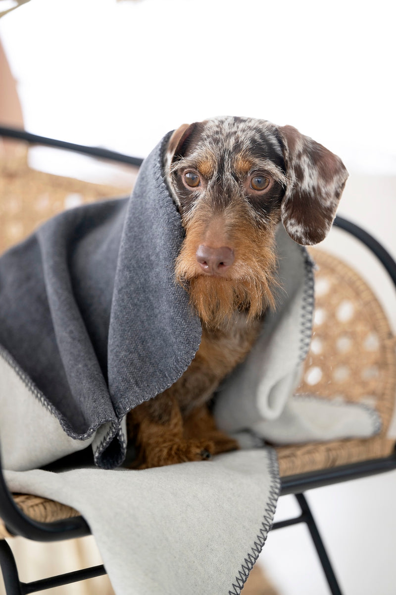 Hundedecke REVERSO, Grey