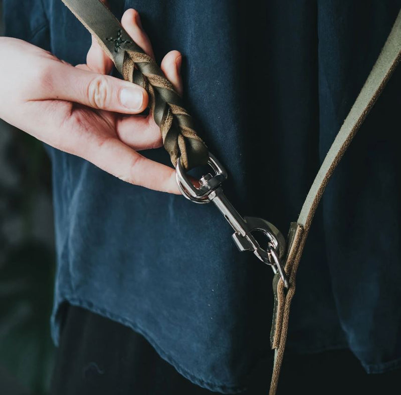 Verst. Führleine Solid Education, Oliv, 13/200