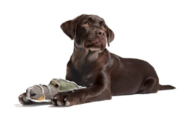 Hundespielzeug Canvas Wild Goose