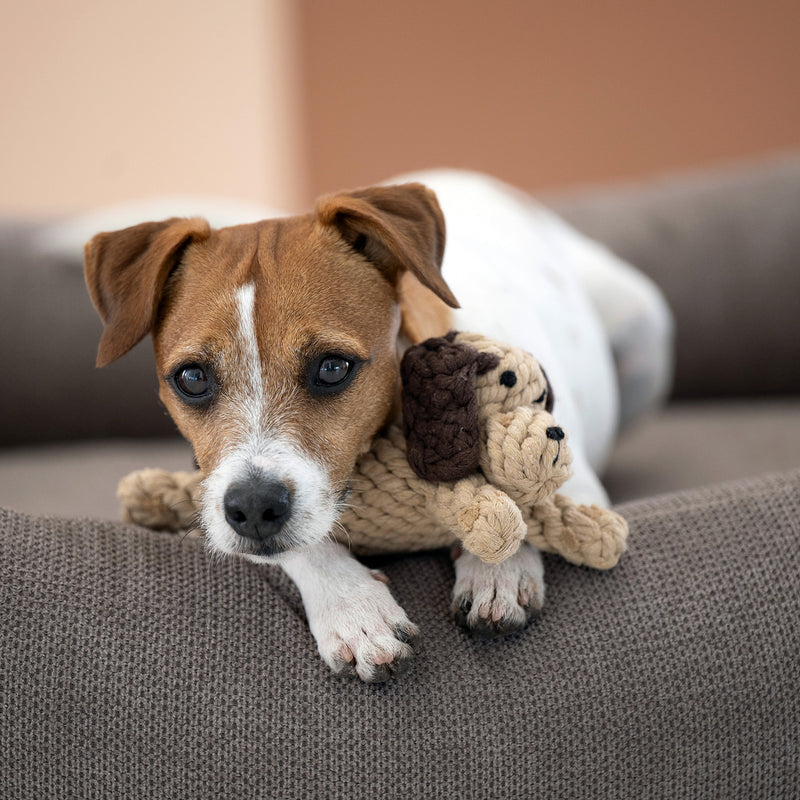 Hundespielzeug Doggy Dog oder Doggy Dog Jr.
